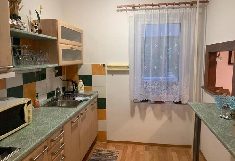 آپارتمان 1 خوابه با بالکن, Horský Hotel Jelínek
