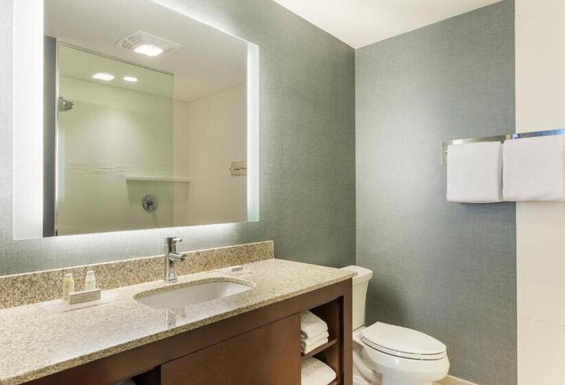 استودیو استاندارد با تخت کینگ, Residence Inn By Marriott Orlando Downtown