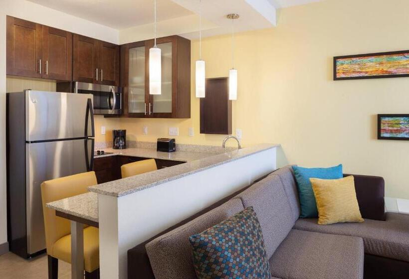 Студио Стандарт Кровать Кинг, Residence Inn By Marriott Orlando Downtown