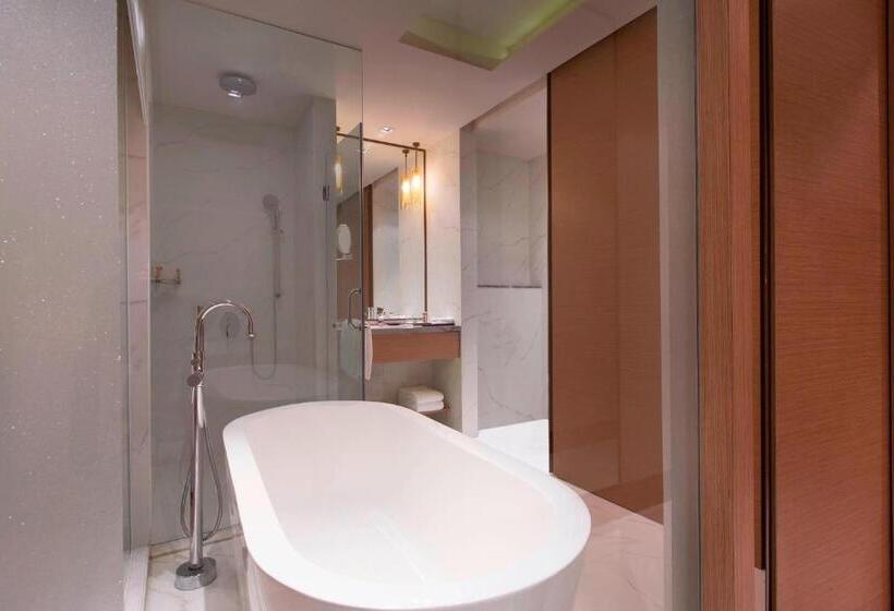 俱乐部房间, Sheraton Hyderabad