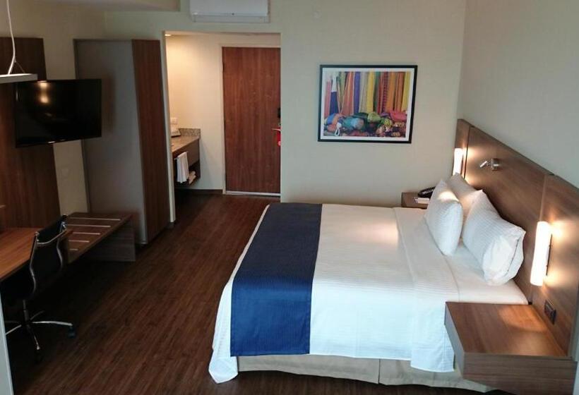 带大床的小型套房, La Venta Inn Ciudad Del Carmen