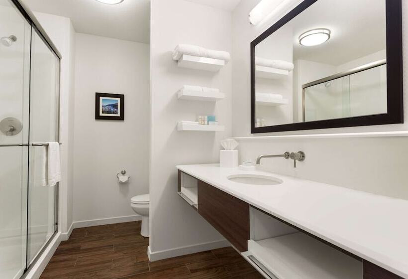 اتاق استاندارد با تخت بزرگ برای معلولان, Hampton Inn Kennewick At Southridge
