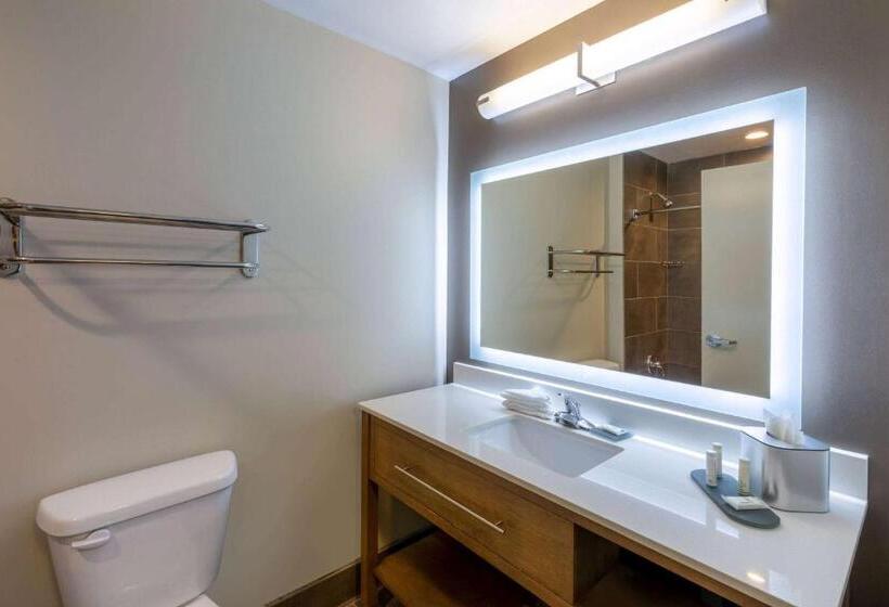 اتاق استاندارد, La Quinta Inn & Suites By Wyndham Tulsa Downtown   Route 66