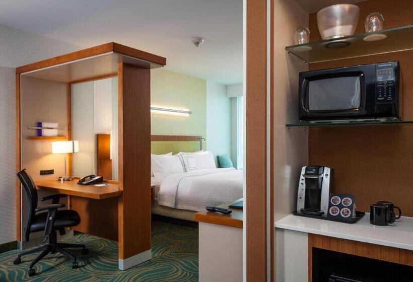 استودیو استاندارد با تخت کینگ, Springhill Suites By Marriott Kennewick Tri Cities