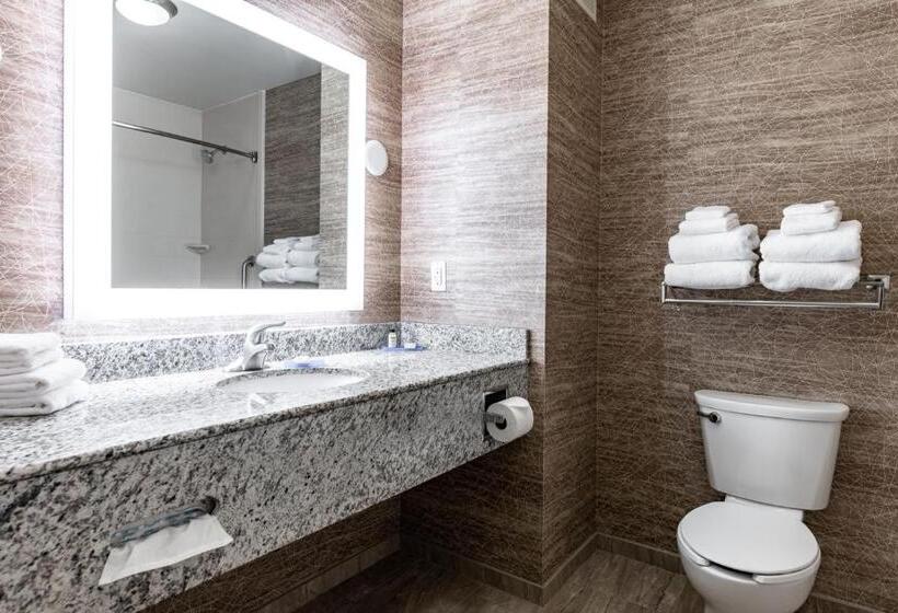 Стандартный Номер Кровать Кинг, Holiday Inn Express & Suites New Martinsville, An Ihg