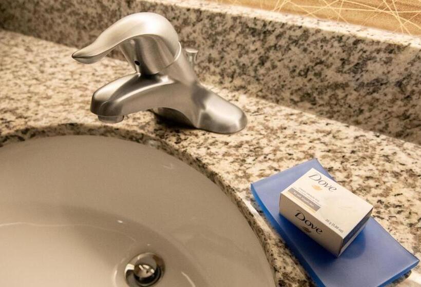 Номер Стандарт Адаптированный для Инвалидов, Holiday Inn Express & Suites New Martinsville, An Ihg