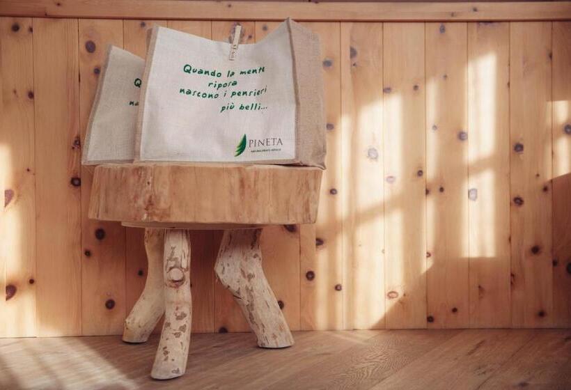 Номер Superior Кровать Кинг, Pineta Nature Resort  Wellness & Spa