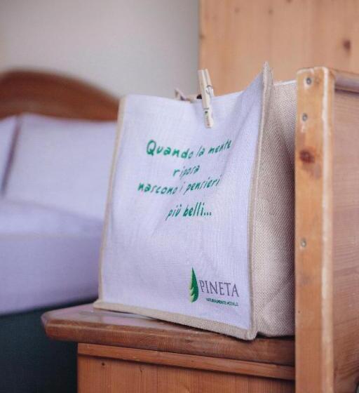 コンフォートトリプルルーム, Pineta Nature Resort  Wellness & Spa