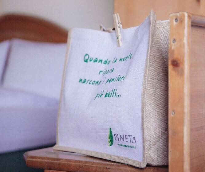 Номер Стандарт, Pineta Nature Resort  Wellness & Spa