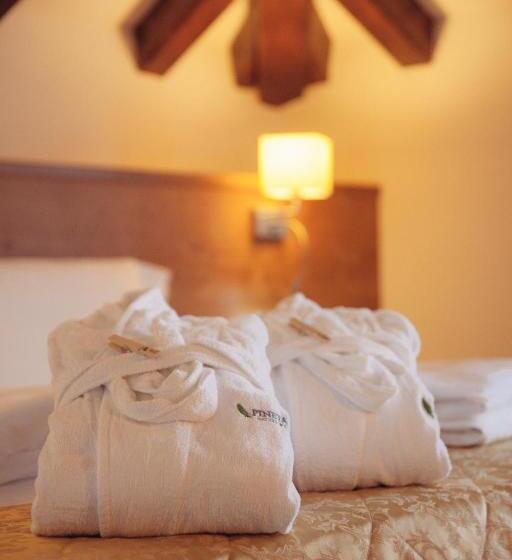 Номер Deluxe, Pineta Nature Resort  Wellness & Spa
