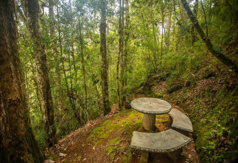 Бунгало Стандарт, Dantica Cloud Forest Lodge