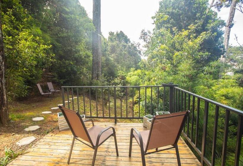 Бунгало Стандарт 2 Спальни, Dantica Cloud Forest Lodge