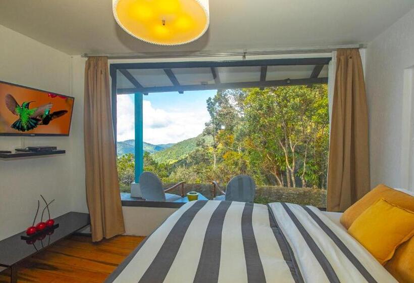 Полулюкс, Dantica Cloud Forest Lodge