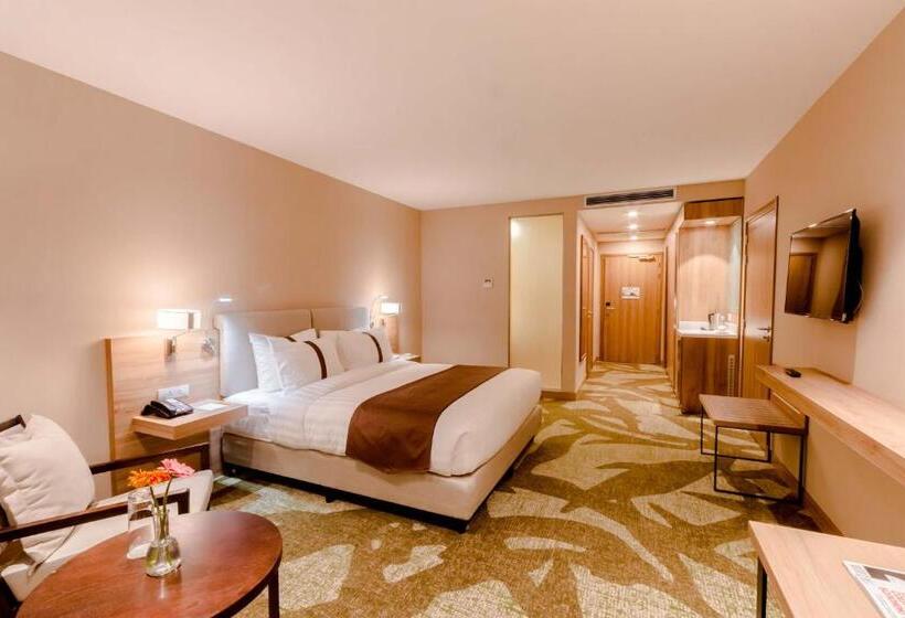 اتاق استاندارد با تخت بزرگ, Holiday Inn Ulaanbaatar, An Ihg