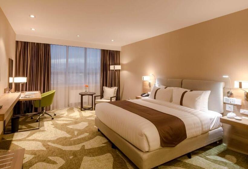 اتاق استاندارد با تخت بزرگ برای معلولان, Holiday Inn Ulaanbaatar, An Ihg