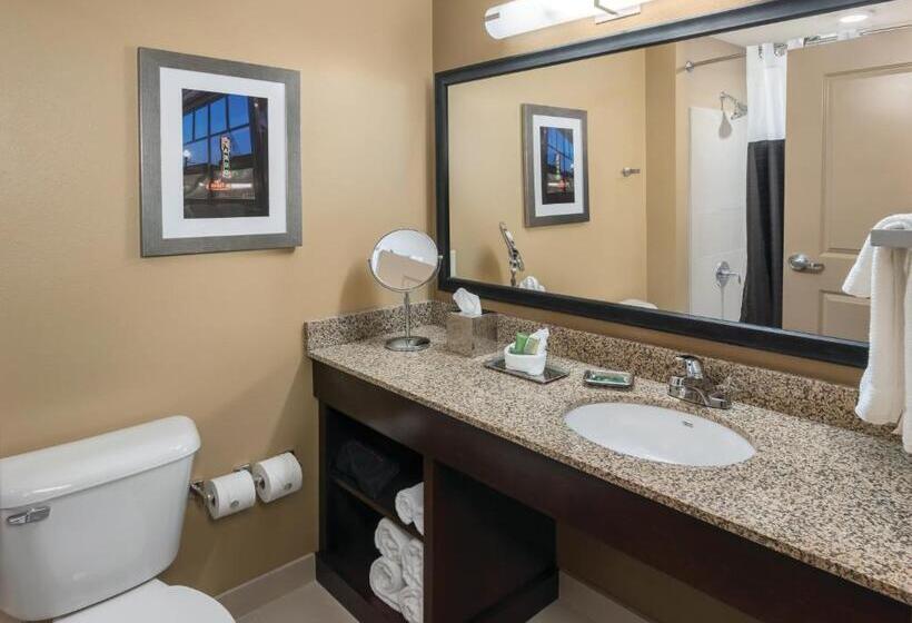 Стандартный Номер Кровать Кинг, Clubhouse Hotel & Suites Fargo
