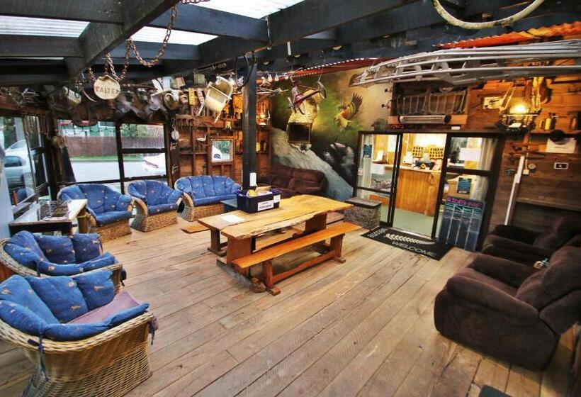 Кровать в Общей Комнате, Chateau Backpackers & Motels