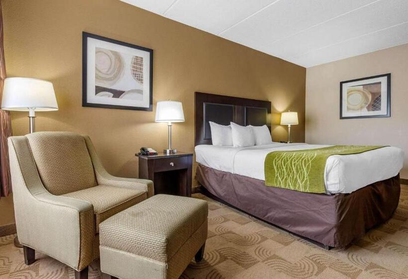Стандартный Номер Кровать Кинг, Comfort Inn Warner Robins   Robins Air Force Base Area