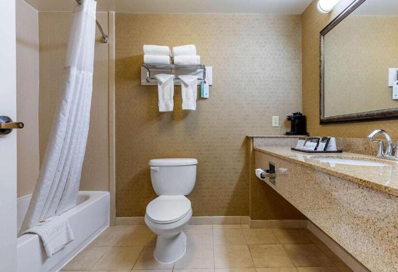 Номер Стандарт, Comfort Inn Warner Robins   Robins Air Force Base Area