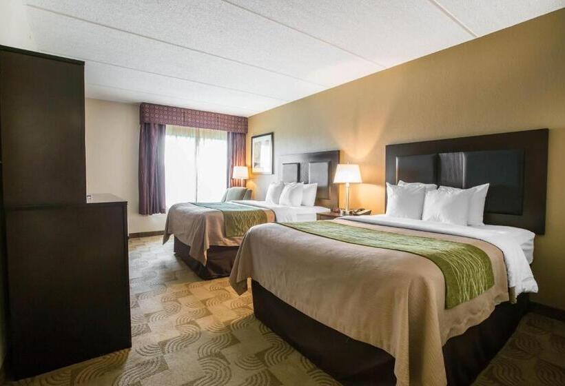 Номер Стандарт, Comfort Inn Warner Robins   Robins Air Force Base Area
