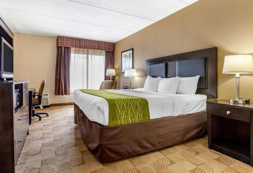 Номер Стандарт Кровать Кинг Адаптированный для Инвалидов, Comfort Inn Warner Robins   Robins Air Force Base Area