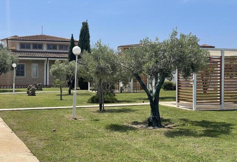 اتاق استاندارد, Verter Home Resort