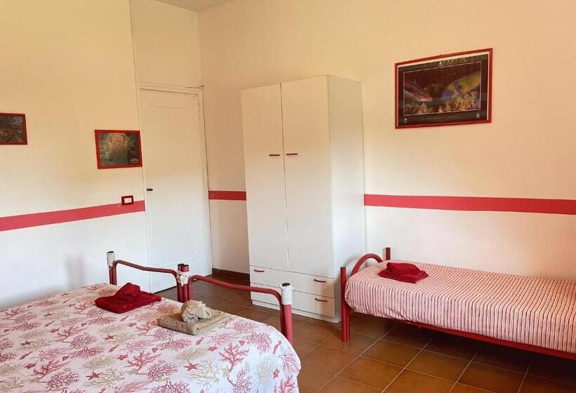 اتاق استاندارد سه نفره, Verter Home Resort