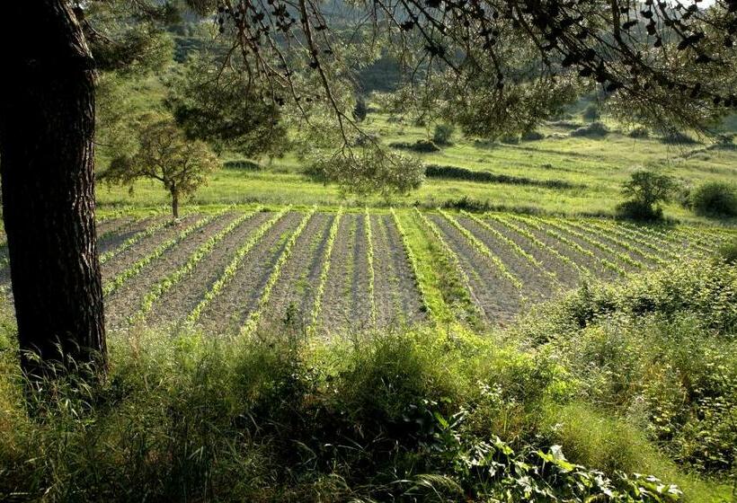 خانه 1 خوابه, Lithies Organic Farm