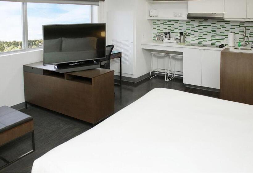 סטודיו סטנדרט, מיטה זוגית, Element Miami Doral