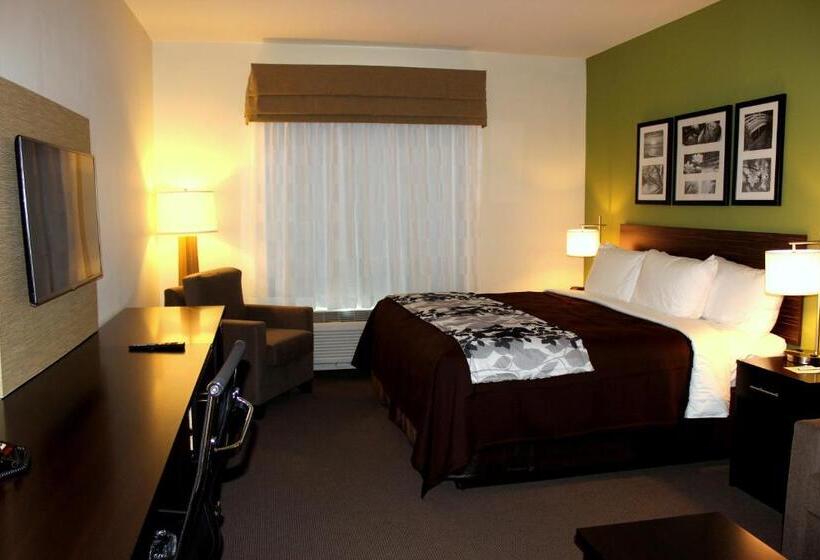 חדר סטנדרט עם מיטת קינג, Sleep Inn & Suites