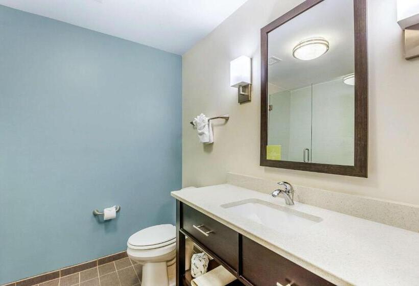 Стандартный Номер Кровать Кинг, Sleep Inn & Suites Ames Near Isu Campus