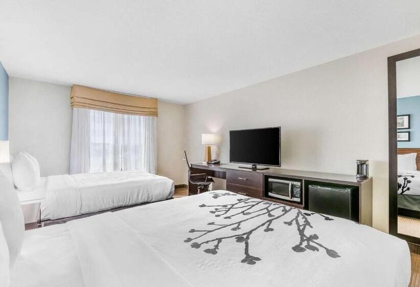 Номер Стандарт, Sleep Inn & Suites Ames Near Isu Campus