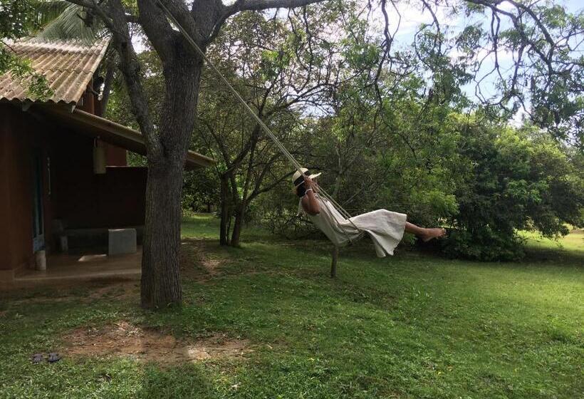 Бунгало Стандарт, Back Of Beyond   Wellness Retreat