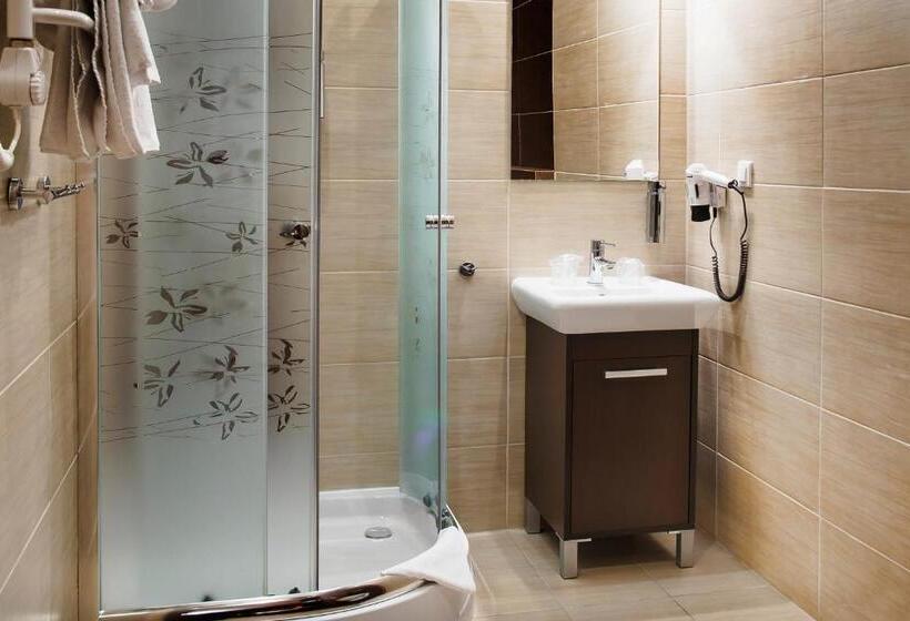 اتاق استاندارد یک نفره, Boutique Hotel S Bytom