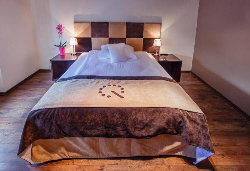 اتاق استاندارد یک نفره, Boutique Hotel S Bytom