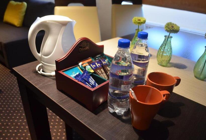 آپارتمان 1 خوابه, Boutique Hotel S Bytom