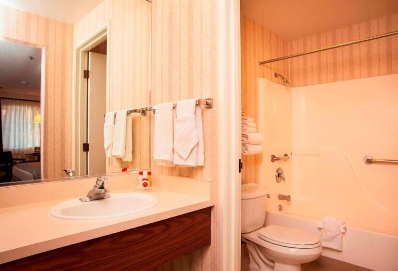 Стандартный Номер Кровать Кинг, Carson Valley Motor Lodge And Extended Stay