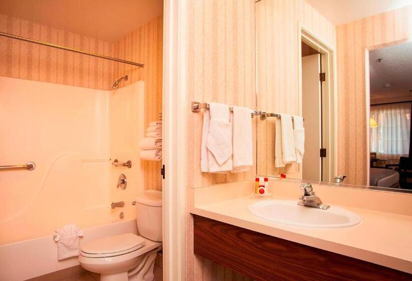 Номер Стандарт, Carson Valley Motor Lodge And Extended Stay