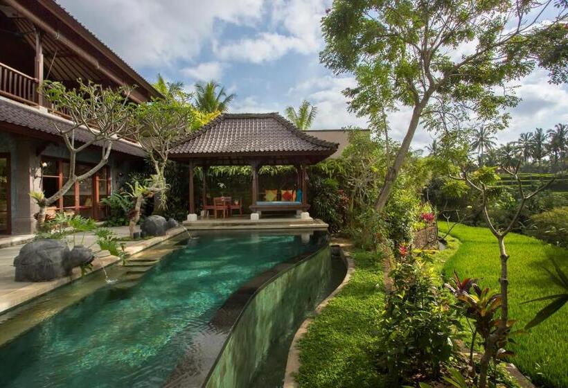 Люкс, Dwaraka The Royal Villas