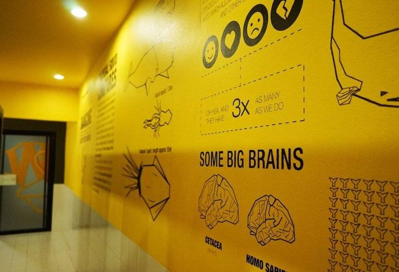 Кровать в Общей Комнате, Monkey Dive Hostel Khaolak