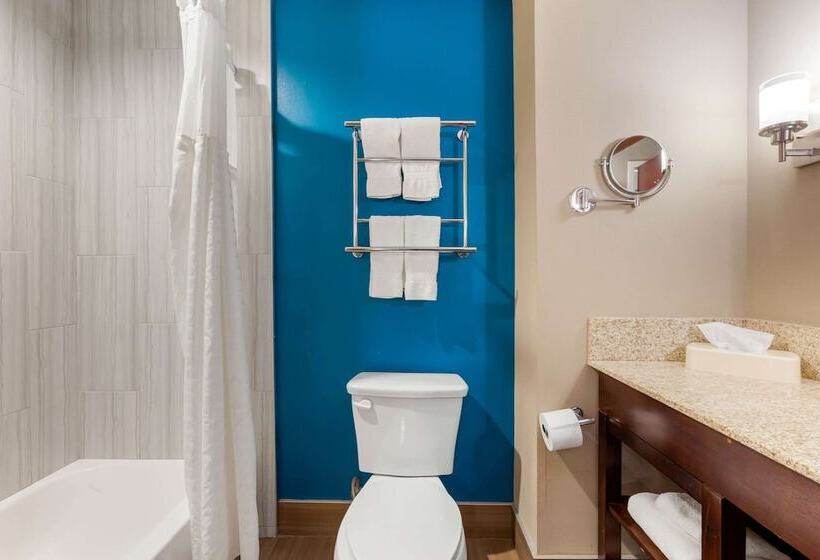 Люкс Адаптированный для Инвалидов, Comfort Suites Of Las Cruces I 25 North