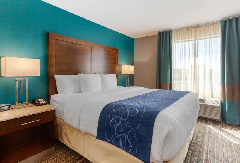 Люкс Кровать Кинг, Comfort Suites Of Las Cruces I 25 North