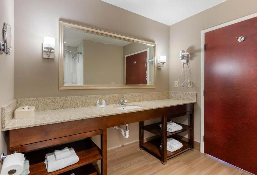 Люкс Кровать Кинг, Comfort Suites Of Las Cruces I 25 North
