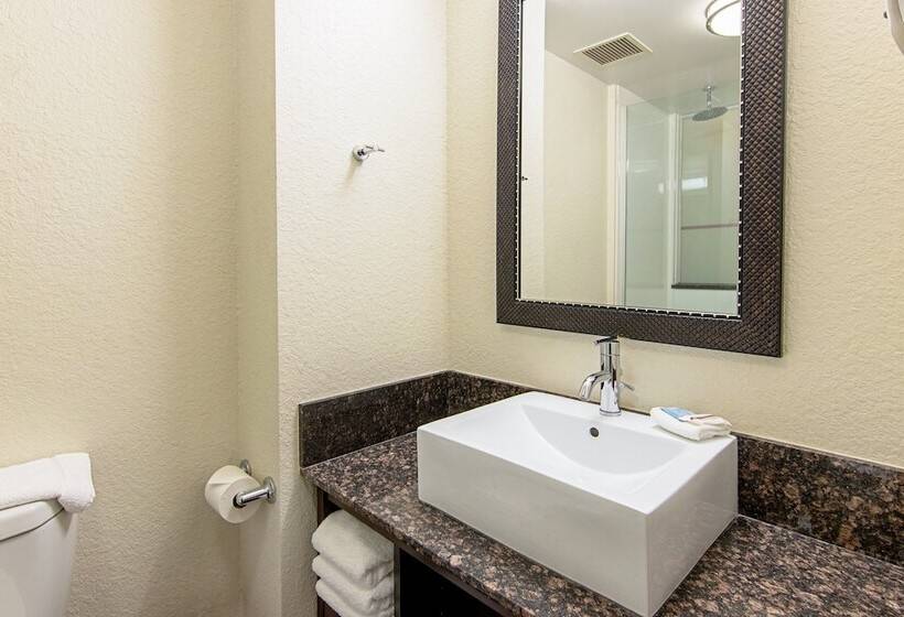 Номер Deluxe, Red Roof Inn Locust Grove