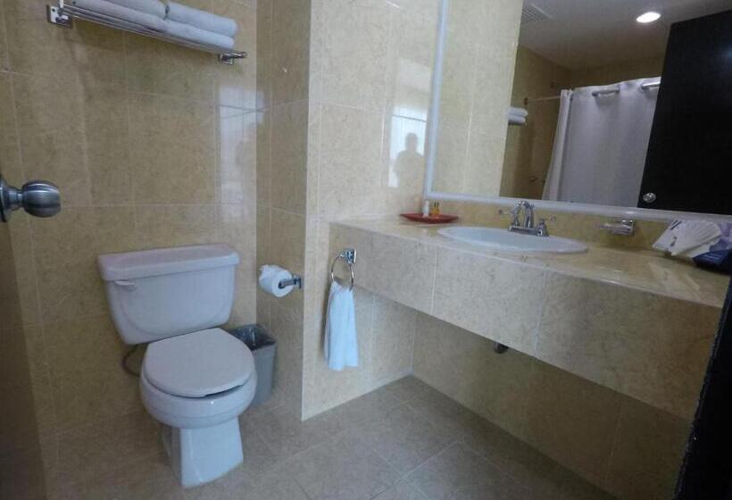 اتاق استاندارد با تخت بزرگ, Vista Inn Premium