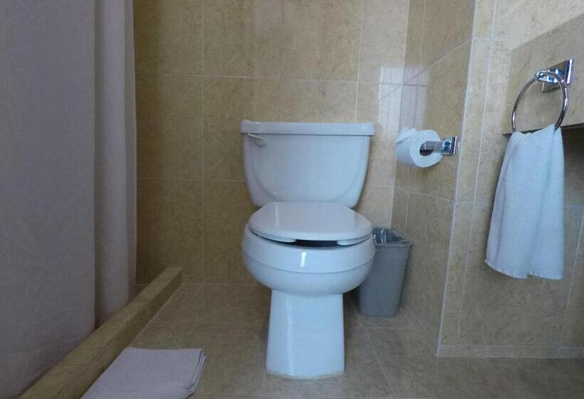 اتاق استاندارد با تخت بزرگ, Vista Inn Premium