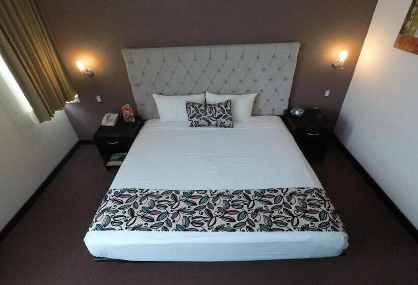 اتاق استاندارد با تخت بزرگ, Vista Inn Premium