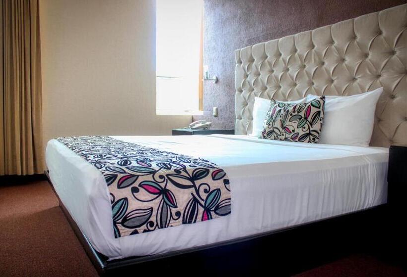 اتاق استاندارد با تخت بزرگ, Vista Inn Premium