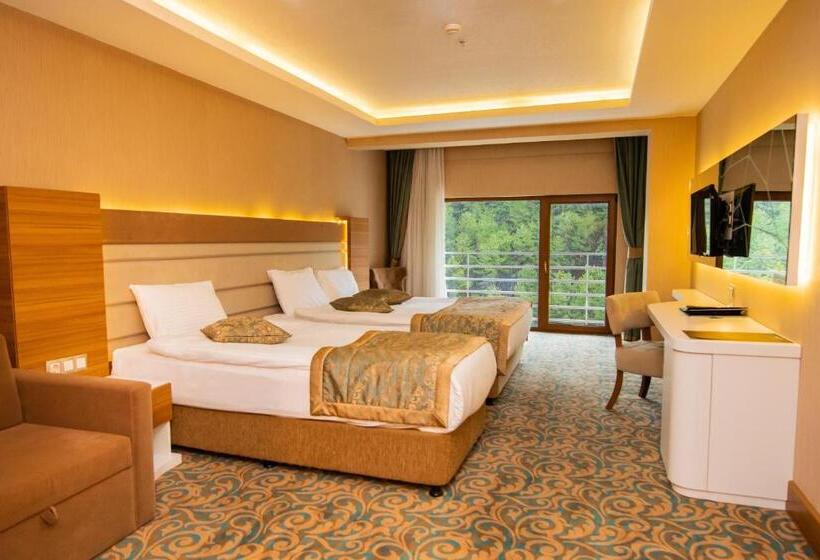 Номер Superior, Cam Thermal Resort Hotel & Spa
