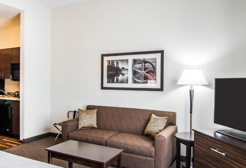 Стандартный Номер Кровать Кинг, Mainstay Suites Lufkin